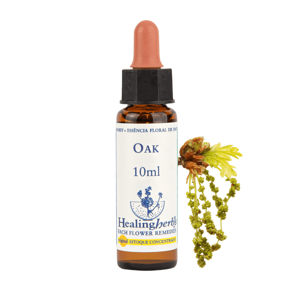 Oak - Floral de Bach Healingherbs 10ml