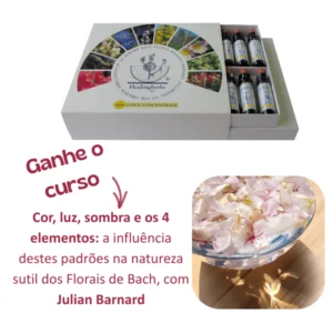 kit 10ml + curso